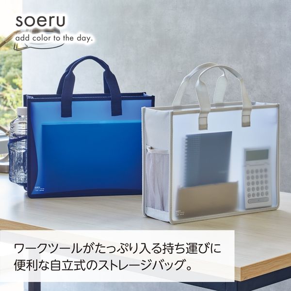 リヒトラブ ストレージバッグ<soeru> A4 フロストクリヤー A8800-1 1冊