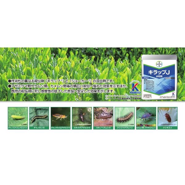 バイエル薬品 - やま ゼチーア錠10mg 100錠 (バイエル薬品) | 商品詳細 | FOCUS
