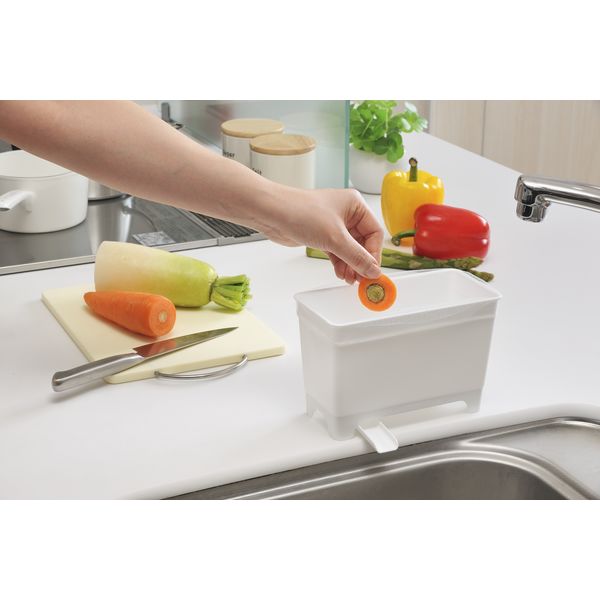 浄化箱売切れ img57043064.jpg