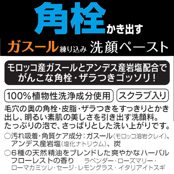 ツルリ 角栓かき出し ガスールペースト 120g 洗顔料 毛穴ケア スクラブ BCL カンパニー