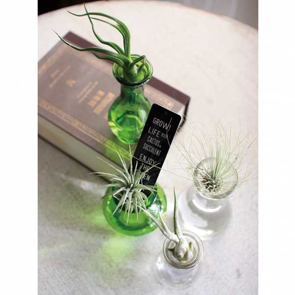 スパイス 花瓶 タイニーガラスフラワーベース No.3 グリーン 256020 1個（取寄品） - アスクル