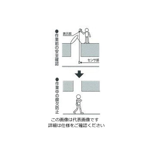 エスコ 酸素・硫化水素濃度計 EA733C-10 1個（直送品） - アスクル