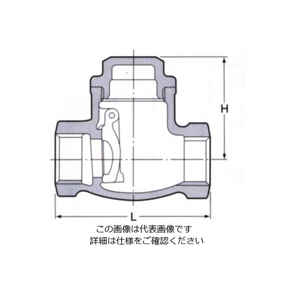 エスコ 1・1/2” スイングチャッキバルブ EA465AA-14 1個（直送品