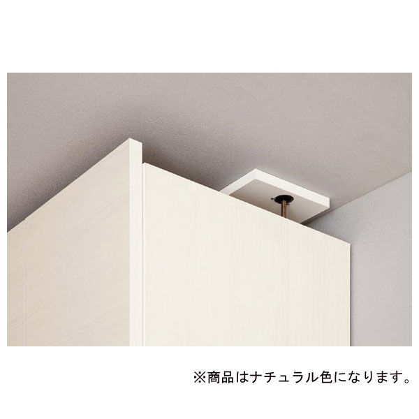 白井産業 ポルターレ 壁面収納キャビネット専用上置き棚 幅600mm