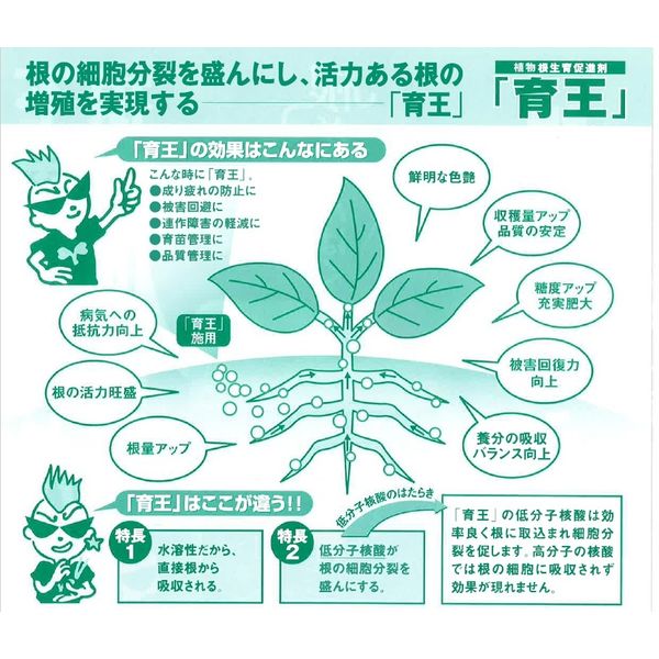 昭光通商アグリ 植物根生育促進剤 育王 300g 2057381 1本（直送品） - アスクル