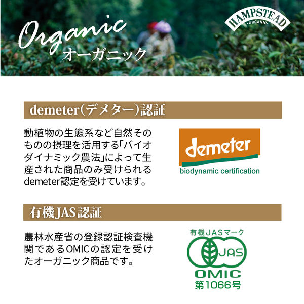 オーガニック紅茶】ハムステッド ダージリン ティーバッグ 1箱