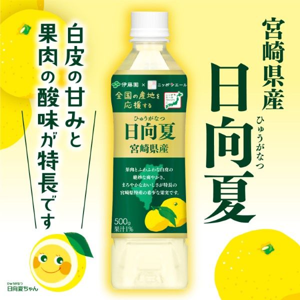 新発売の 伊藤園 日向夏 宮崎県産 500g ニッポンエール 1セット(48本 野菜ジュース・フルーツジュース