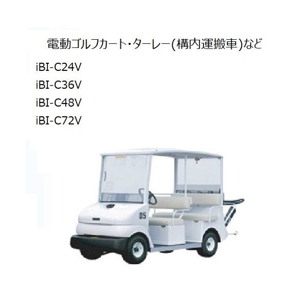 電動ゴルフカート・ターレー（構内運搬車）など 鉛バッテリー延命装置 iBI SYSTEM iBI-C48V IBI-C48V（直送品） - アスクル