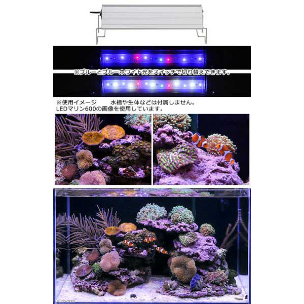 チャーム アクロ ＴＲＩＡＮＧＬＥ ＬＥＤ ＭＡＲＩＮＥ 300 20000Ｋ 335550 1台（直送品） - アスクル