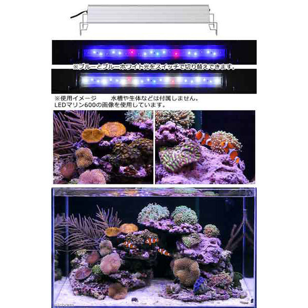 チャーム アクロ ＴＲＩＡＮＧＬＥ ＬＥＤ ＭＡＲＩＮＥ 450 20000Ｋ 335551 1台（直送品） - アスクル