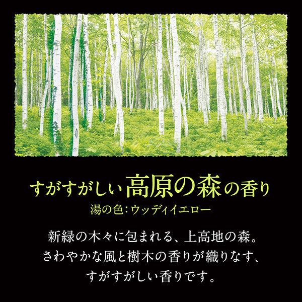 バブ 至福の森めぐり浴 12錠入×4箱 花王 (透明タイプ) - アスクル