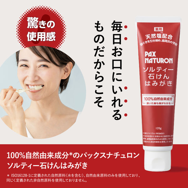 パックスナチュロン ソルティー石けんはみがき 120g 1セット(2個