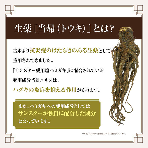 当帰の力 薬用 塩ハミガキ しみる歯ケア 82g 1セット（2本） サンスター 歯磨き粉 生薬 当帰 口臭 歯槽膿漏 歯肉炎 歯周病 知覚過敏