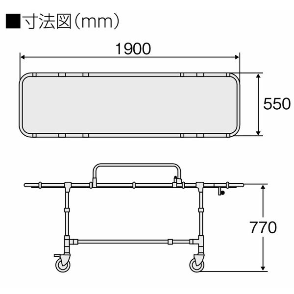 日進医療器 浴室用ストレッチャー固定式 TY222ESS 1台 01-3615 日進医療器 浴室用ストレッチャー固定式 TY222ESS 1台 01-3615