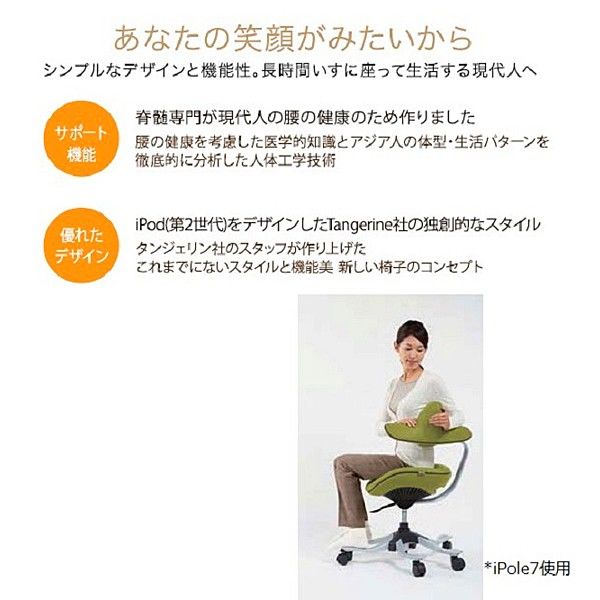 iPole5 パソコン椅子 腰痛対策椅子・チェア