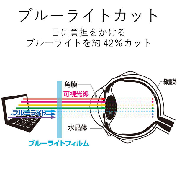 プライバシーフィルター 17W型 (339mm×271mm) やわらか のぞき見防止 セキュリティ 液晶保護 EF-PFF17 エレコム 1枚