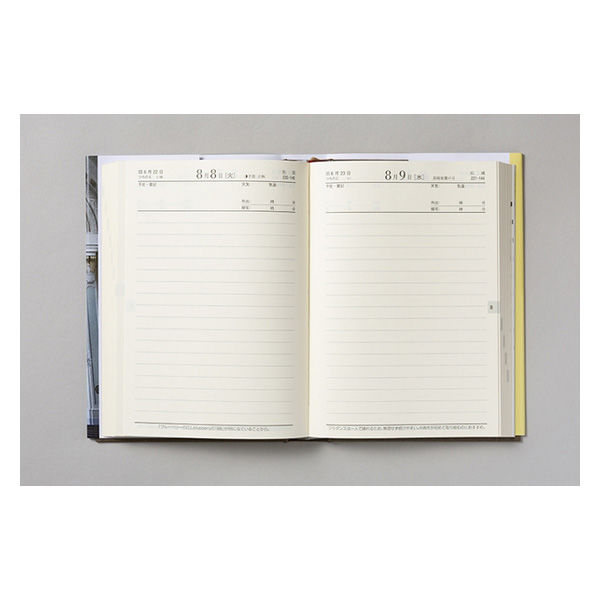 高橋書店 【2023年版】中型横線当用新日記 B6 1頁1日 11 1冊