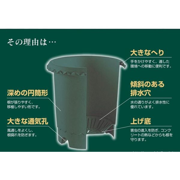 リッチェル バラ鉢10号 ダークグリーン 4973655716038 1個（直送品