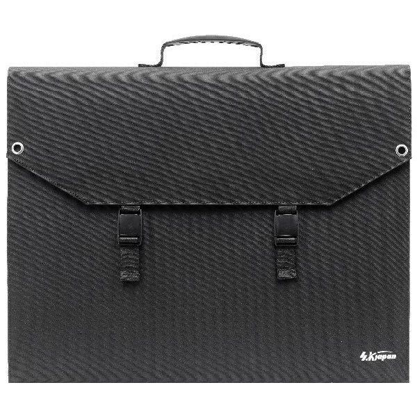 エスケイジャパン 160W ソーラーパネル SKJ-MTSP16 1個（直送品