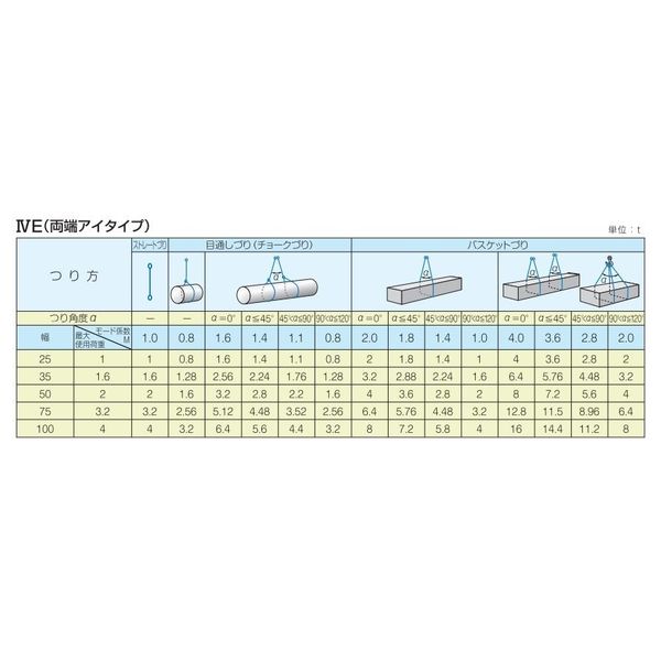 テザック（TESAC） ブルースリング 4E 25幅 1.0M 4E-25-1.0 1個（直送