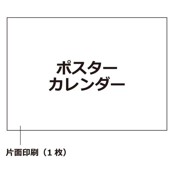 エトランジェ・ディ・コスタリカ 【2023版】B3 ポスターカレンダー CLP