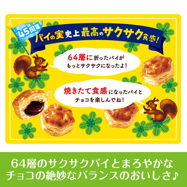 パイの実(73g*60箱セット)【パイの実】 ロッテ パイの実73g