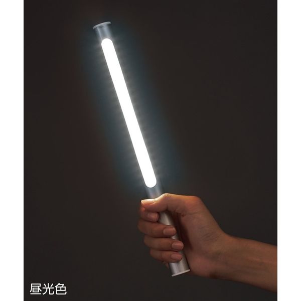 日本緑十字社 LEDライト LED Magic Wand(マジックワンド) シルバー 22Φ