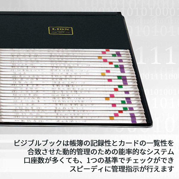 ライオン事務器 ビジブルブック 一覧式帳簿 8×5カード用 No.185