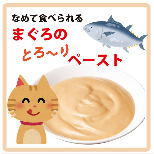 ★40%オフ★アイシア健康缶　腎臓シニア猫　毛玉/エイジング/下部尿路/腸内環境 健康缶 シニア猫用 腸内環境ケア 40g 48袋 アイシア