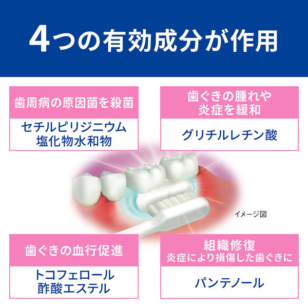 健康な歯肉とブラッシング ３/医歯薬出版（大型本） Amazon.co.jp: 健康な歯肉とブラッシング (3) : 丸森 賢二: 本