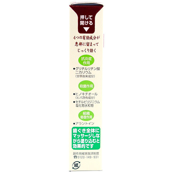 生葉口内塗薬 20g 小林製薬【第3類医薬品】 - アスクル