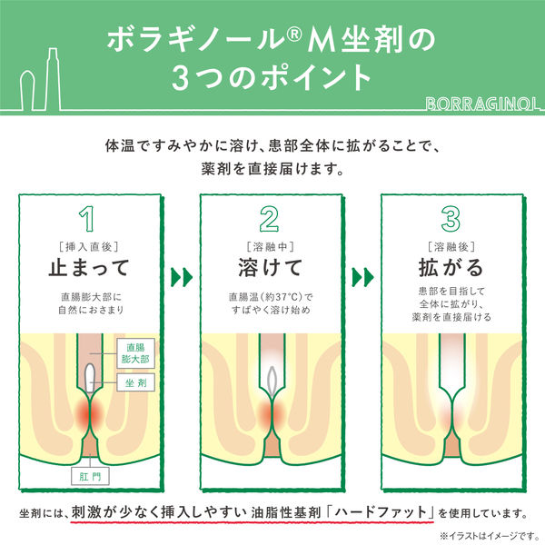 ボラギノールm坐剤 30個 アリナミン製薬【第2類医薬品】 - アスクル