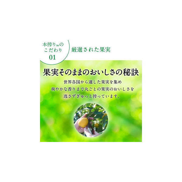 キリン 本搾りチューハイ ＜オレンジ＞ 350ml×24缶 - アスクル