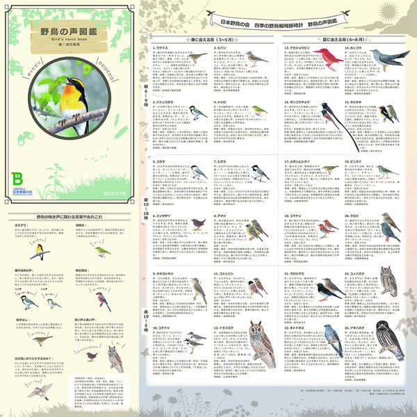 RHYTHM（リズム）四季の野鳥時報掛時計408 掛け時計 [電波