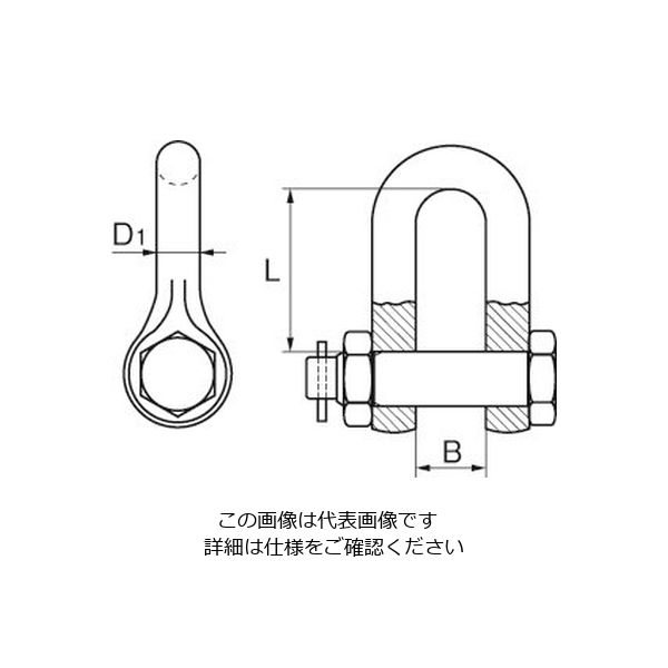 エスコ 585kg シャックル(ステンレス製) EA638F-72 1セット(2個)（直送