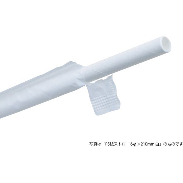 パックスタイル PS紙ストロー 6φ×210mm 未晒（袋入） 603945 1包：5000本（100×50）（直送品） - アスクル