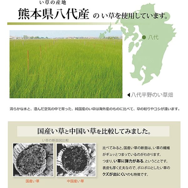 イケヒコ 純国産 い草 上敷き カーペット 市松織 熊本県八代産イ草使用