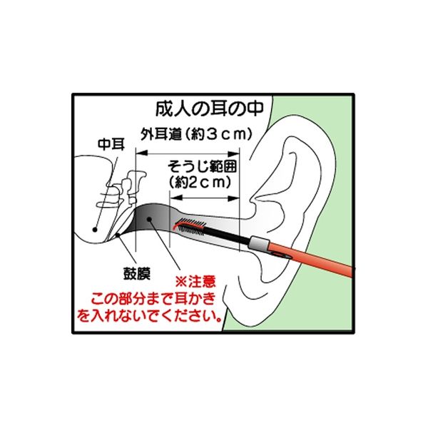 耳かき 富士パックス販売 ツバキ耳かき SV-3000 1箱(2個)（直送品