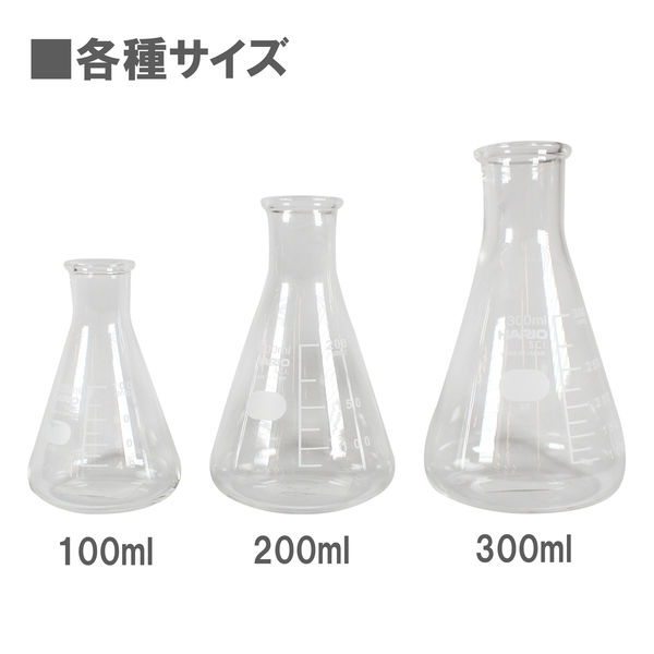 ビッグマン 三角フラスコ300ml6-017-04 051947（直送品） - アスクル