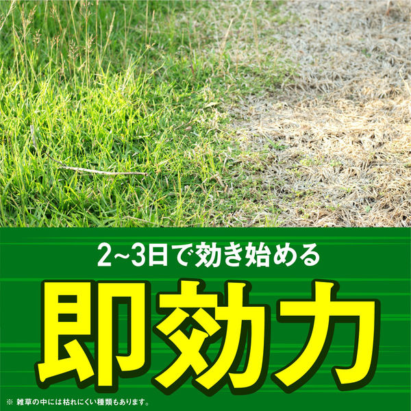 アース カマイラズ 草消滅 ジョウロヘッド 園芸用品 農薬 除草剤 液体