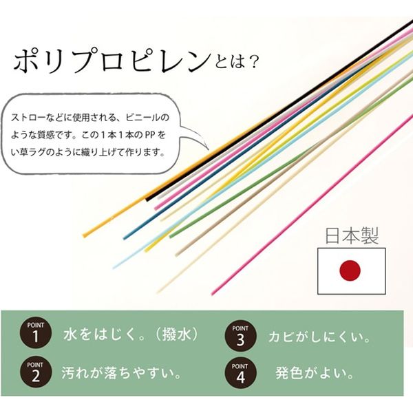 イケヒコ ラグ PPカーペット 『Fウィード』 江戸間2畳 幅1760