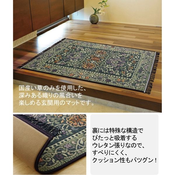 イケヒコ 純国産 い草玄関マット 『Fなつこ』 裏ウレタン 幅600