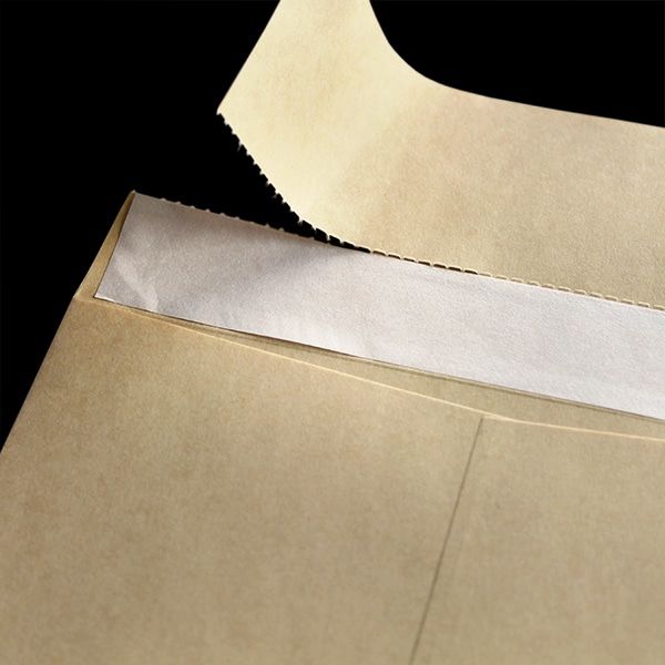 山櫻 クラフト貴重品袋 貴重品袋(大) クラフトCoC 70 グット YAMA-9021-0056 1セット(1袋(100枚)×10) 山櫻 クラフト貴重品袋 貴重品袋(大) クラフトCoC 70 グット YAMA-9021-0056 1セット(1袋(100枚)×10)