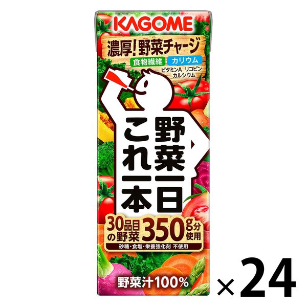 カゴメ 健康経営サポートDセット（野菜生活グリーンスムージー330ml 24