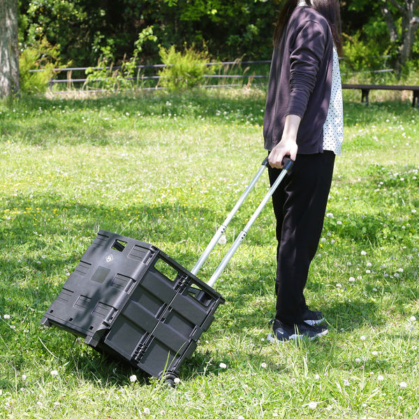 超コレクター 「品質・価値良し・他になし」牛革&綿 キャリーカート 本体 H57 超コレクター 「品質・価値良し・他になし」牛革&綿 キャリー