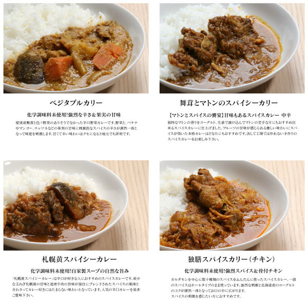 きのポックル スパイシーカレー4種セット ST19001-2 1セット(8袋