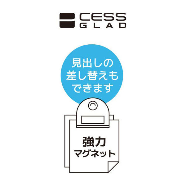 CeramicSpeed OSPW RS Alpha Team Edition ( For Shimano 9250