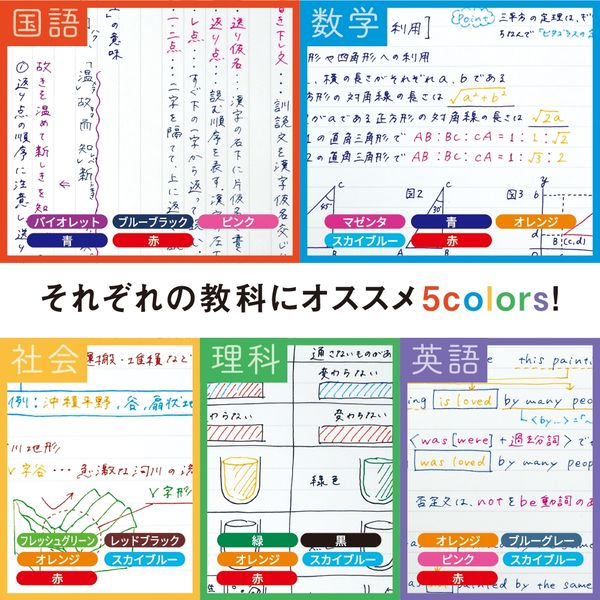理科、国語セット 楽天市場】理科実験キット 小学校4年生セット虫めがねのおまけ