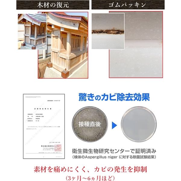 榮建設 超強力カビ取り剤 Mold ZERO 6300021960 1本 - アスクル