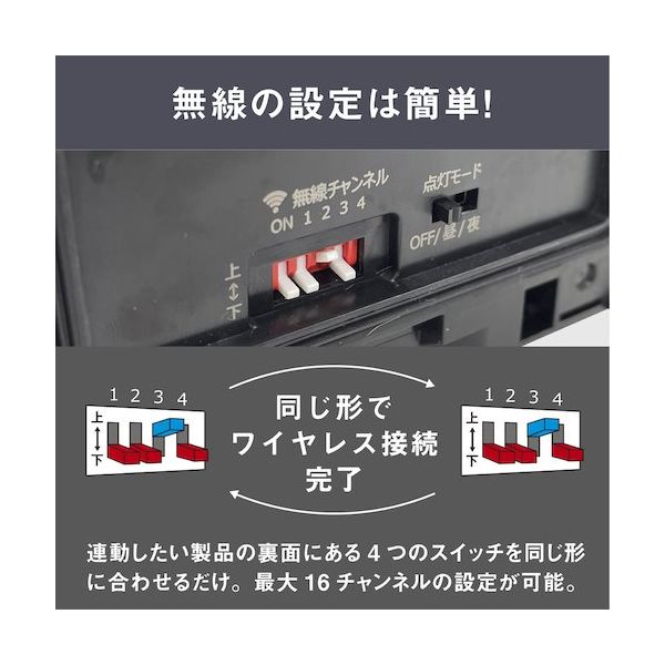 ムサシとコジロウ SR 未使用　　24時間以内発送 ロケット団よ永遠に - Team Rocket Forever : Pikachu Records